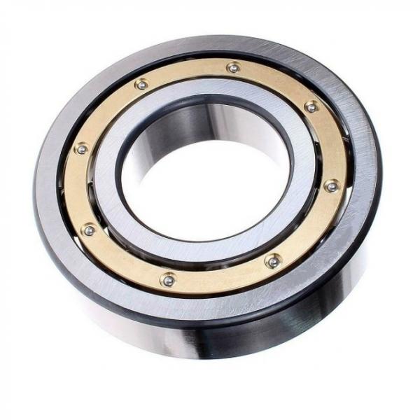Cylindrical Roller Bearing NUP 210 NSK Bearings NUP210 #1 image
